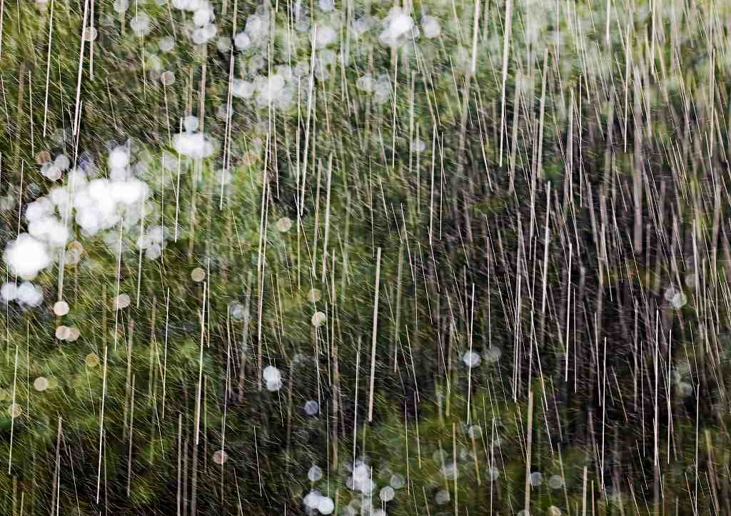 急な雨の写真