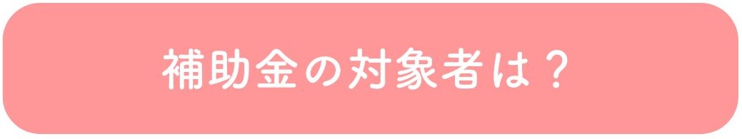 補助金の対象者は？