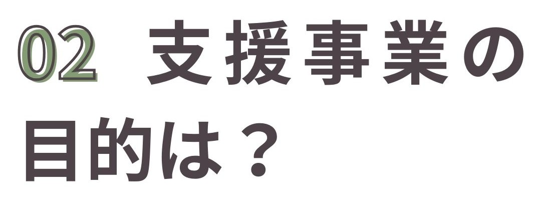 支援事業の目的は