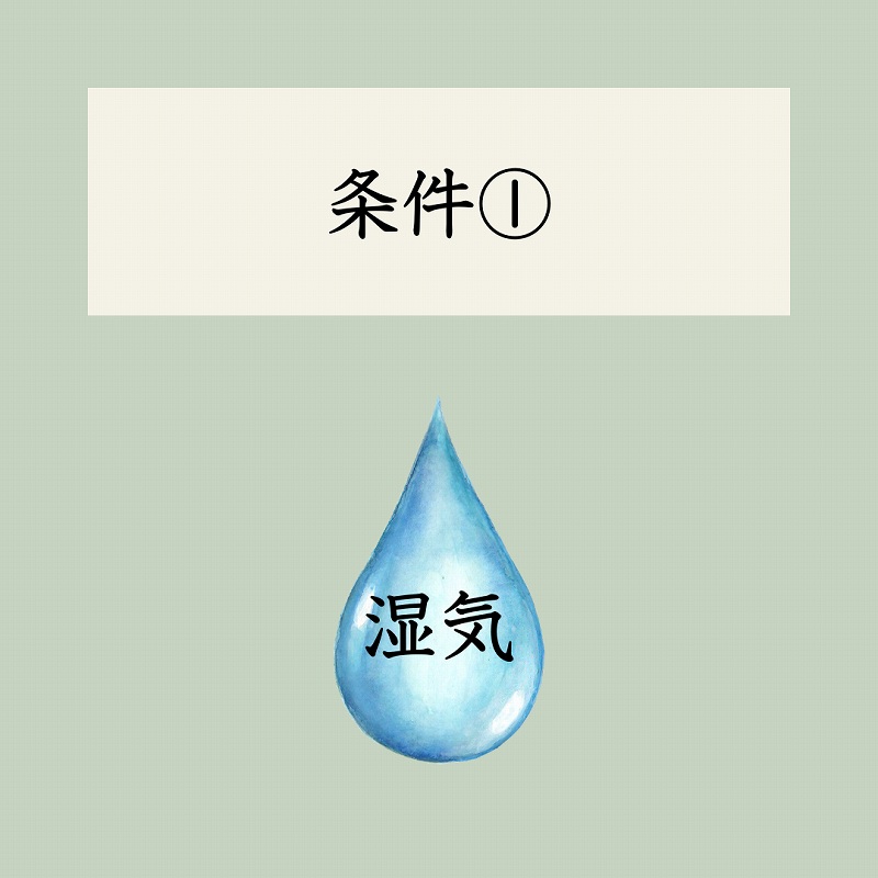 湿気